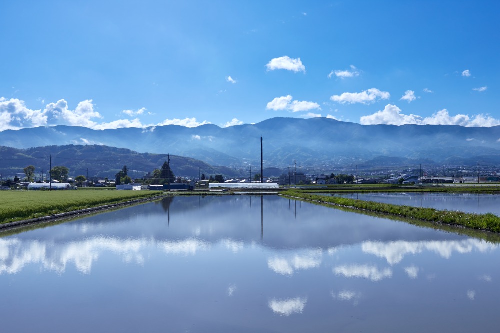 田んぼの管理について